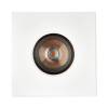 1901 Downlight