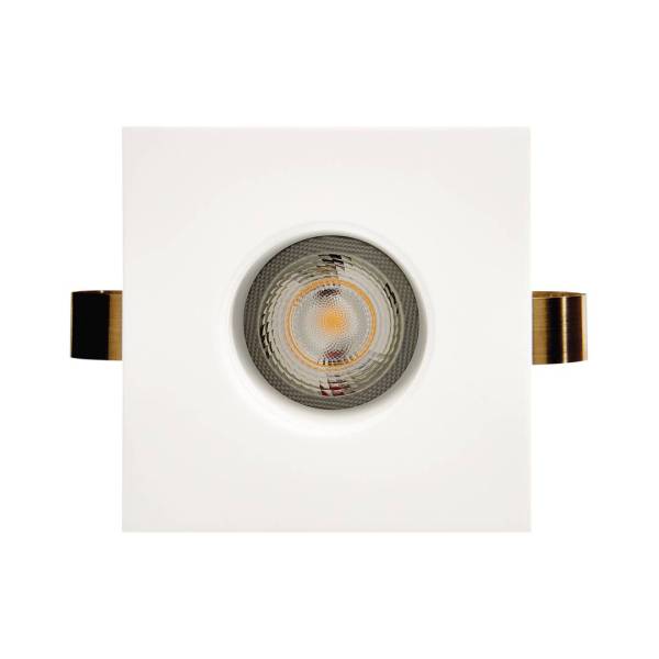 1901 Downlight