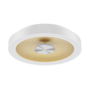 Lustre Ceiling Light