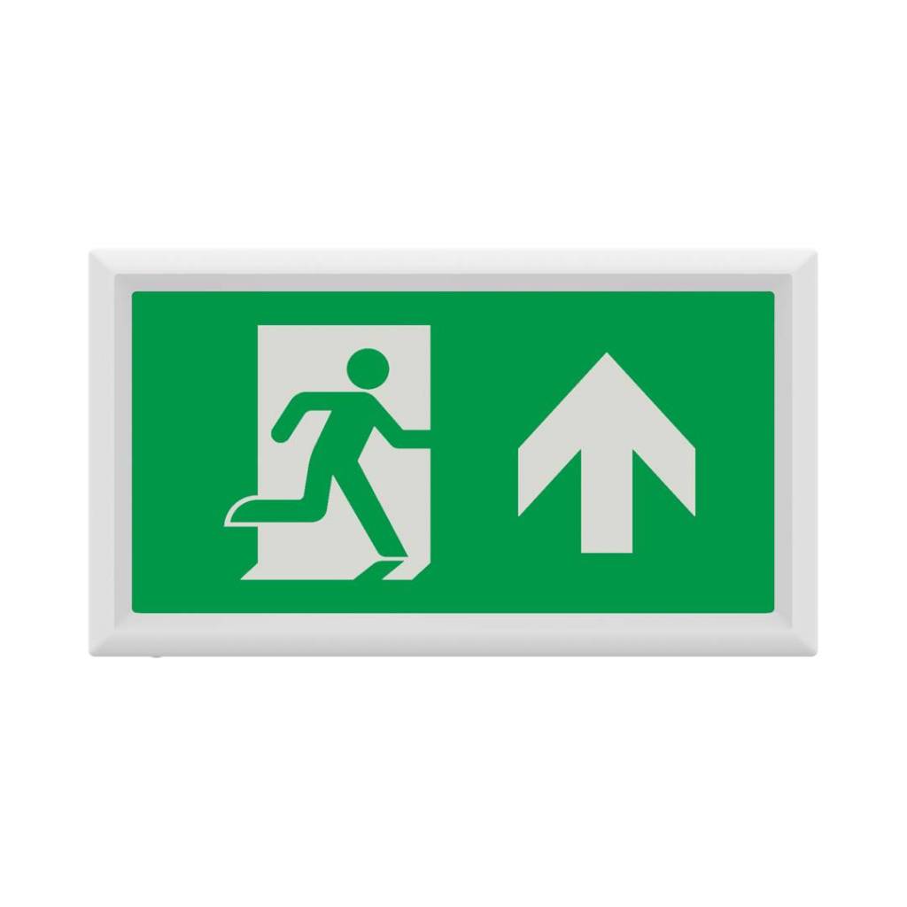 salvusbox-uplegend-angle04-1080x1080px_5b4702.jpg